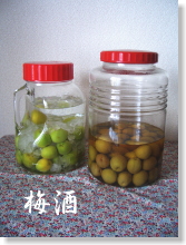 umeshu092.jpg