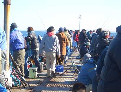 横浜本牧釣り施設