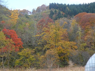 洞爺湖紅葉０９