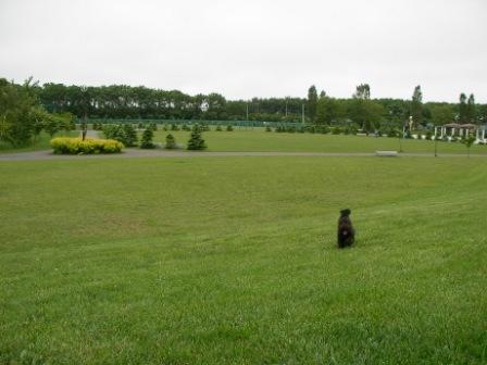 180624樽川公園１