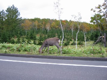 北海道・道東の旅 071.jpg