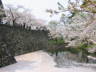 弘前公園（２００７・５・４） 094.jpg