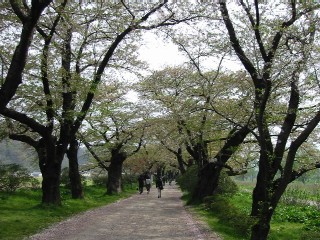 北上展勝地（２００７・５・４） 109.jpg