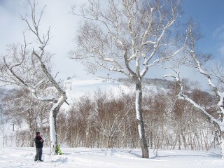 北海道・ニセコスキー　2007.3.8 034.jpg