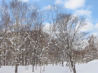 北海道・ニセコスキー　2007.3.8 053.jpg