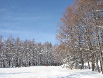 志賀高原スキー 031.jpg2.jpg