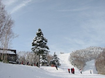 志賀高原スキー 021.jpg2.jpg