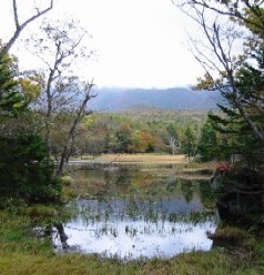 北海道・道東の旅 062.jpg