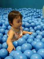 DSC02563.jpg