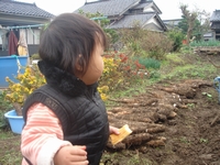 DSC03904.JPG