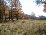 DSC03369.JPG