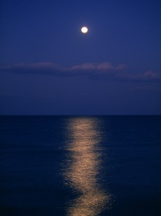 FA071_L.jpg