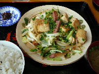 豆腐ちゃんプルー