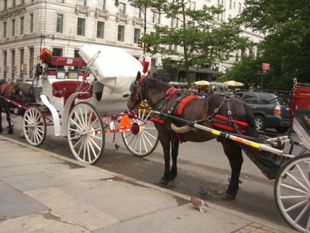 セントラルパーク・２