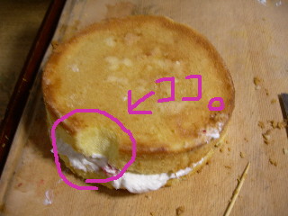 DSCN1873.JPG