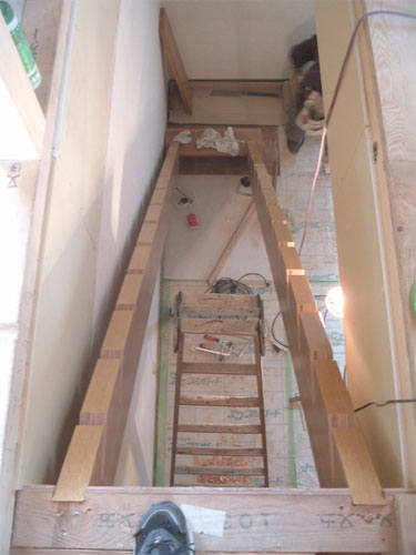 tns0228_6.jpg