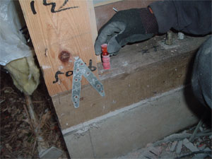 tns0130_6.jpg