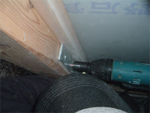 tns0130_9.jpg