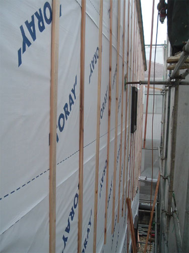 tns0228_14.jpg