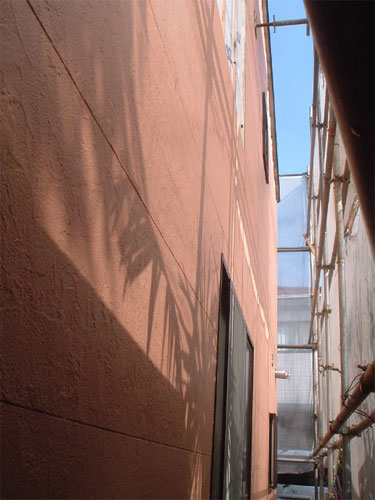 tns0228_16.jpg