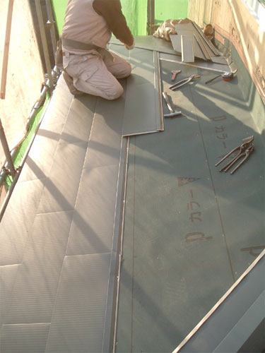 tns0214_11.jpg