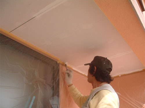 tns0312_8.jpg