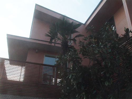 tns0327_6.jpg