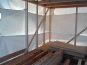 tns0121_5.jpg