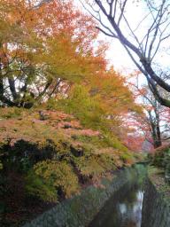 琵琶湖疎水に沿って歩く