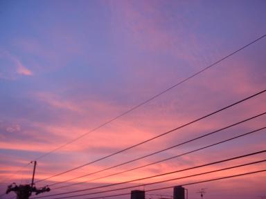 私の部屋から見える空は、電線がワンポイントになってしまった