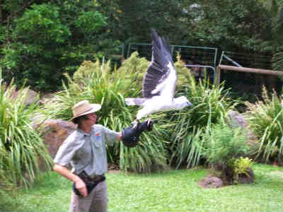 DSCF0573.jpg