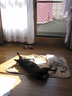 IMG_3422.jpg