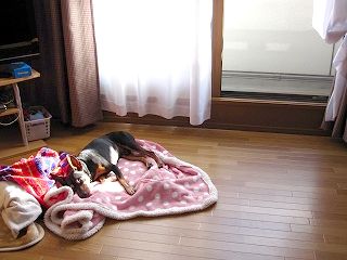 IMG_3425.jpg