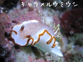 IMG_3559.jpg
