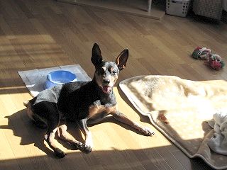 IMG_3408.jpg
