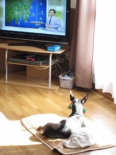 IMG_3411.jpg