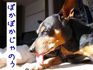 IMG_3415.jpg