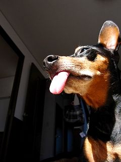 IMG_3420.jpg