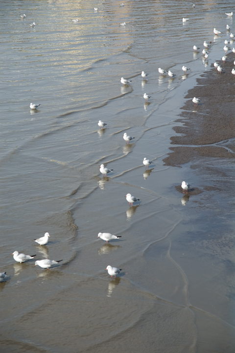 DSC_1417.jpg