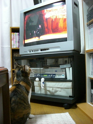 ｽﾀｰｳｫｰｽﾞ3