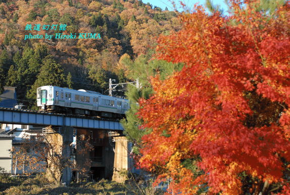 紅葉に照り映える仙山線の電車