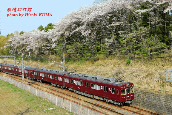 名残りの桜と阪急