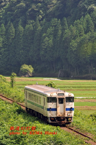 美林の中を駆けるキハ40