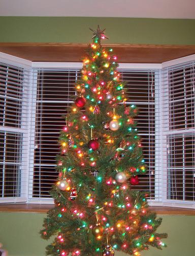 Christmas Tree2006.JPG