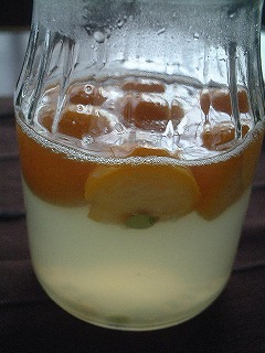 酵母起こし２