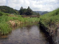 川の水もきれい☆