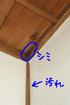 ネズミのおしっこ！？