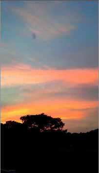 スクリーンショット（2010-09-13 11.50.10）.png