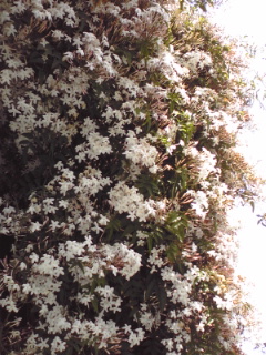 090426_1351~01.jpg