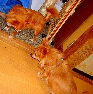 ２００６年１月 383.jpg